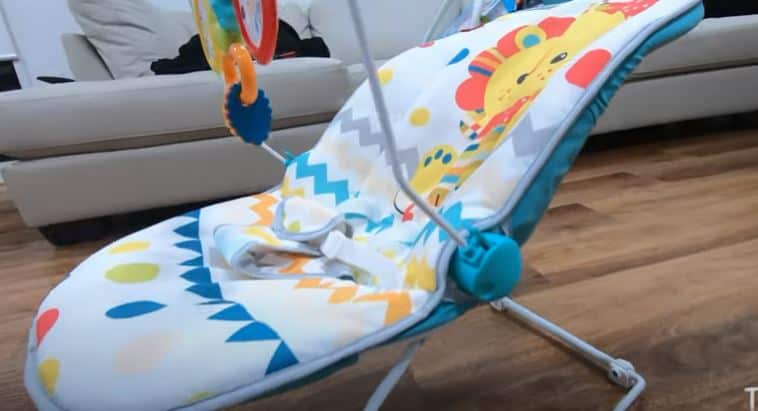 Fisher-Price Baby Bouncer