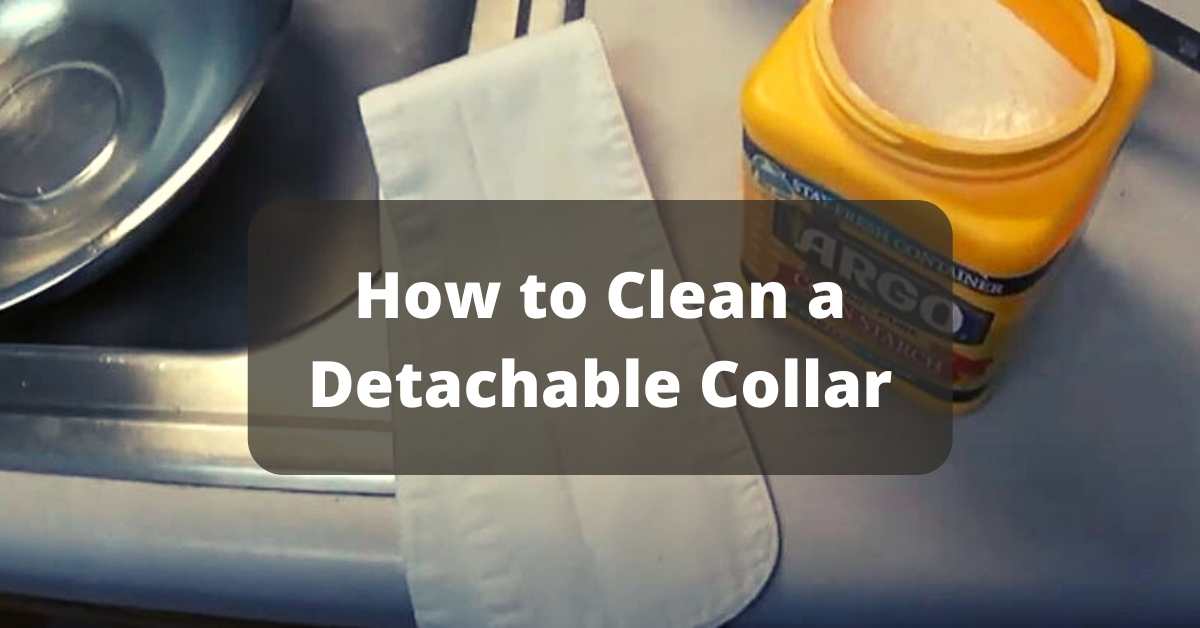 How to Clean a Detachable Collar