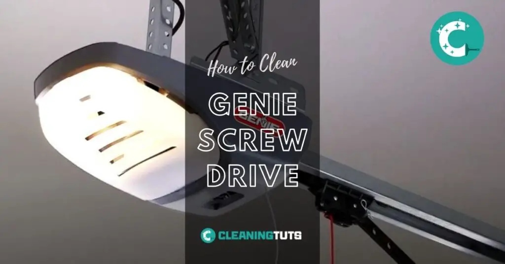 How to Clean Genie Screw Drive