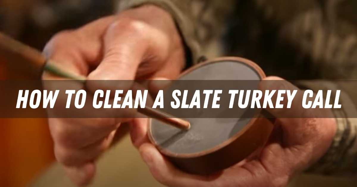 How to Clean a Slate Turkey Call