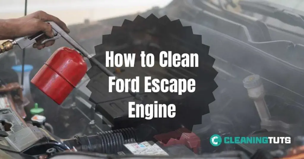 How to Clean Ford Escape Engine
