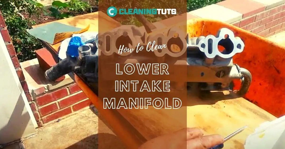 How to Clean Lower Intake Manifold