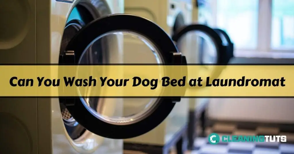 Can You Wash Your Dog Bed at Laundromat