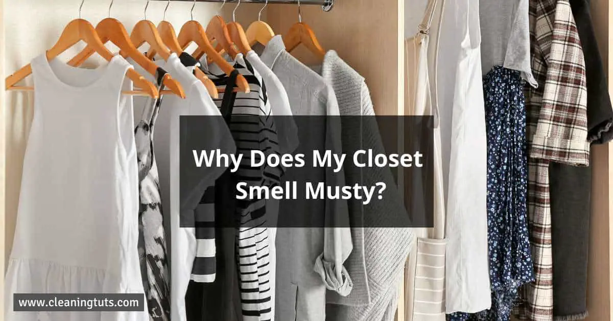 Why Does My Closet Smell Musty