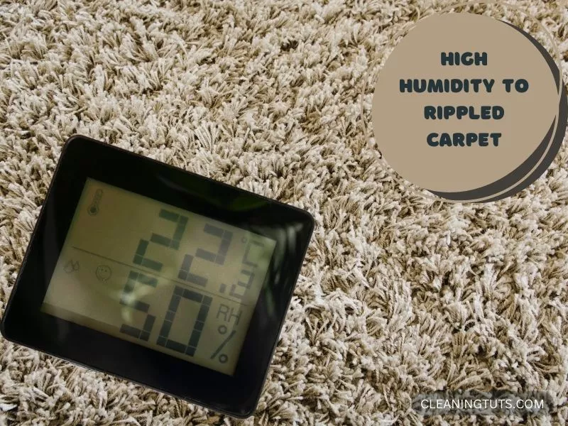 Excessive Humidity of the Carpet