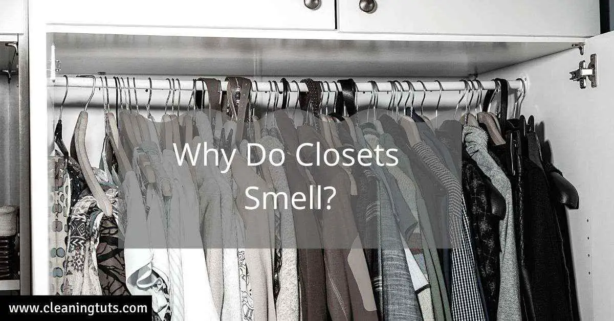 Why Do Closets Smell