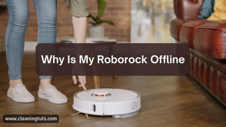 Why Is My Roborock Offline