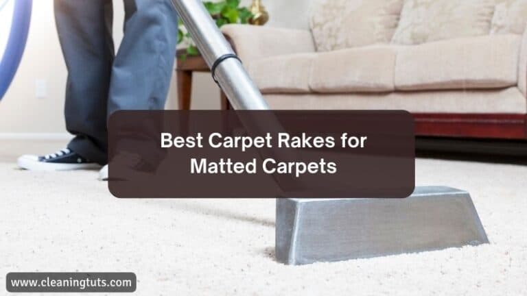 Revive Your Matted Carpet: Top Carpet Rakes Reviewed