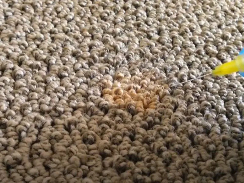 Clean Up Bleach Spills on Carpets and Rugs