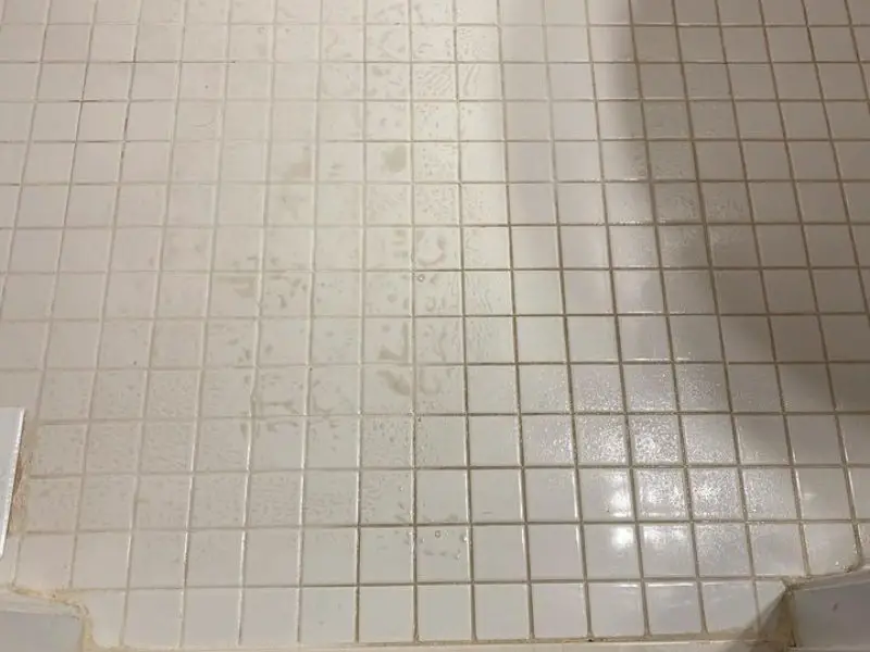Efficient Ways to Sanitize and Remove Urine from the Floor