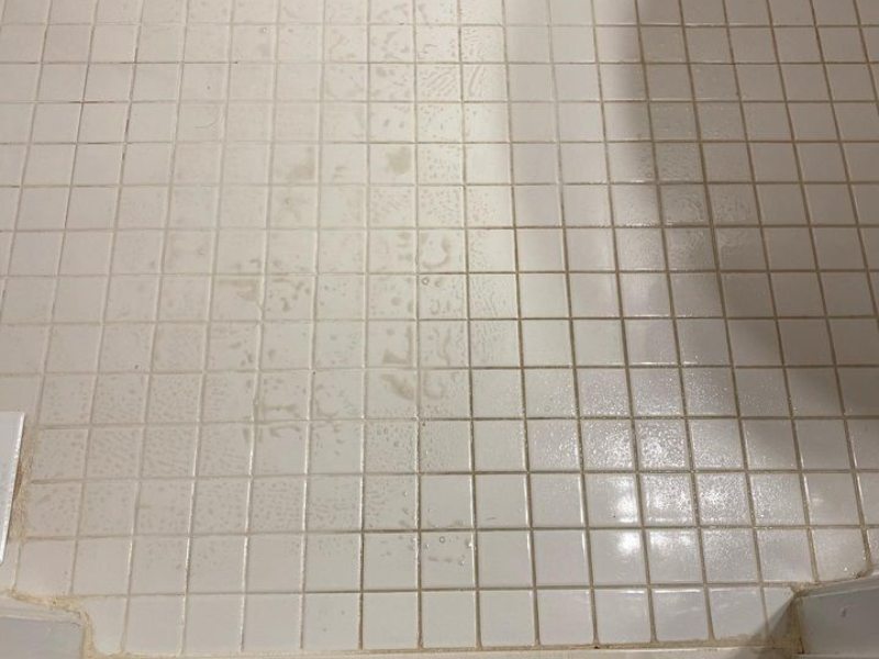 Efficient Ways to Sanitize and Remove Urine from the Floor