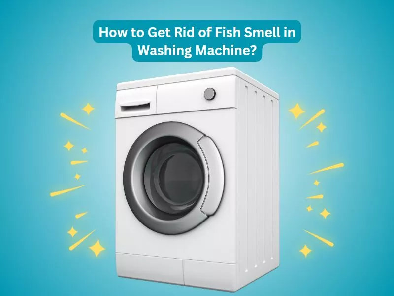 How to Get Rid of Fish Smell in Washing Machine