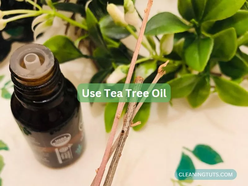 Use Teatreeoil For Cleaning Odor