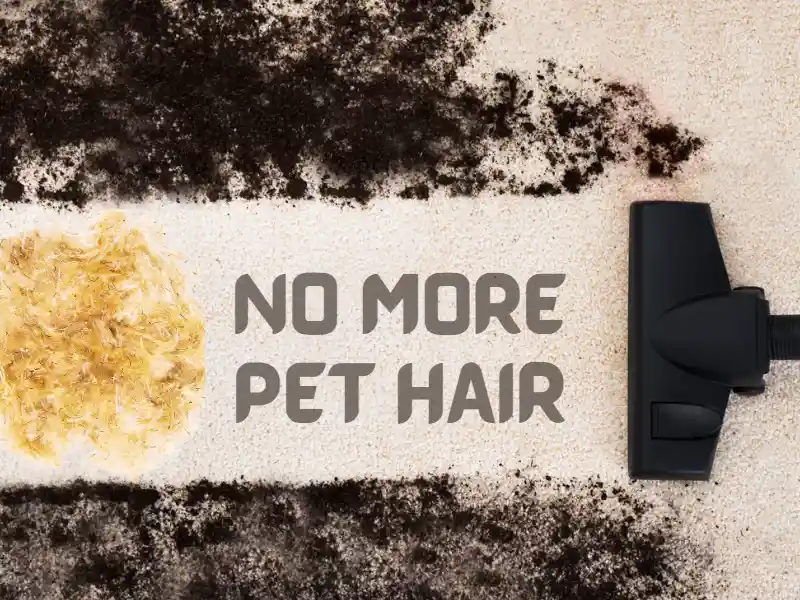 Vacuuming pet hair and other garbages