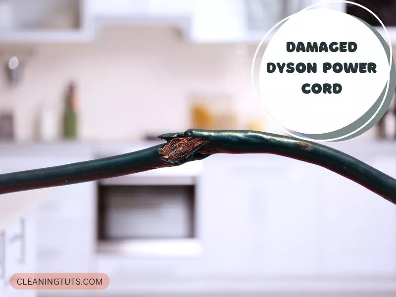 Damaged Dyson Charging Cord Could Be the Culprit Too