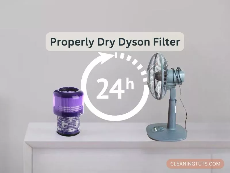 Drying Dyson V11 Filter in front of a fan