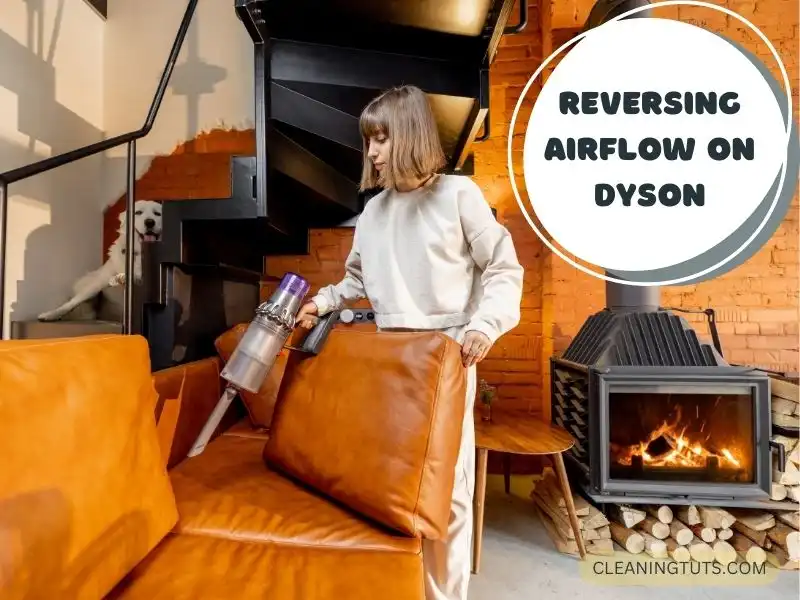 Reversing Airflow on Dyson