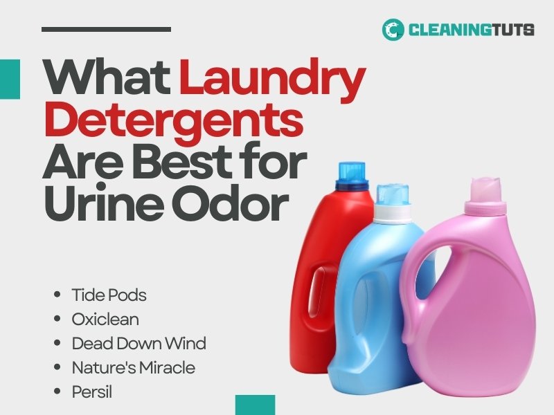 What Laundry Detergents Are Best for Urine Odor
