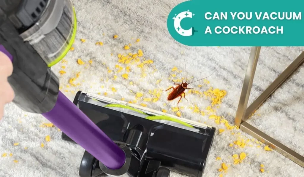Can You Vacuum a Cockroach