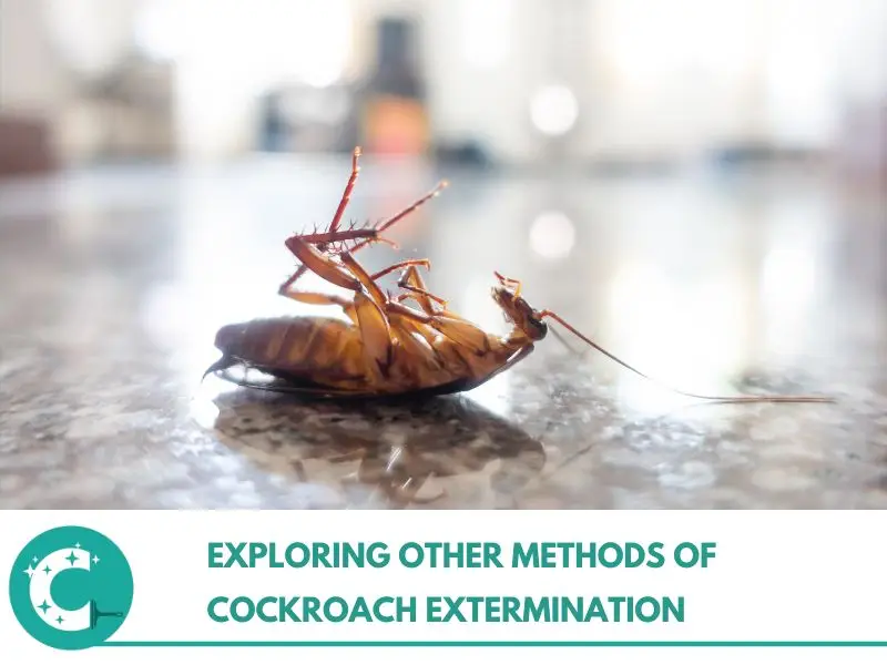 Exploring Other Methods of Cockroach