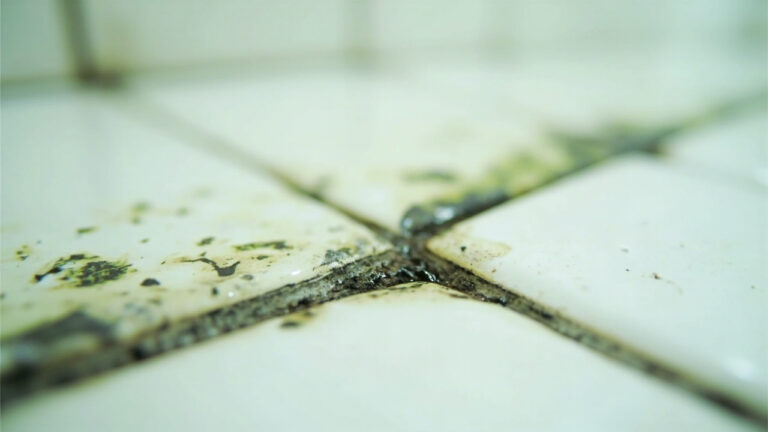 Black mold growing in grout lines between white ceramic shower tiles showing severe contamination requiring removal