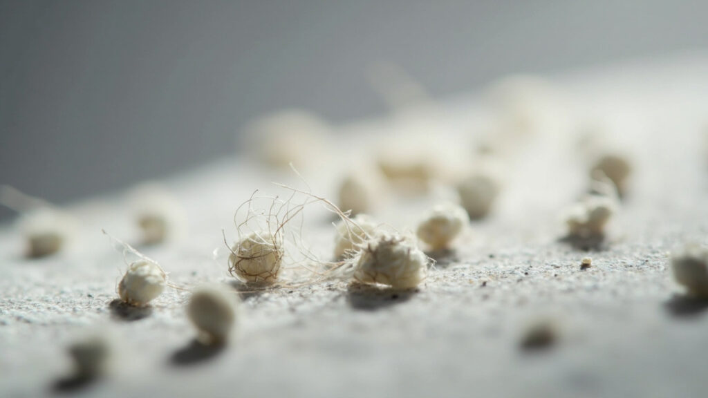 "Macro photograph showing fabric pilling on worn clothing with visible fibrous pills and loose fibers"