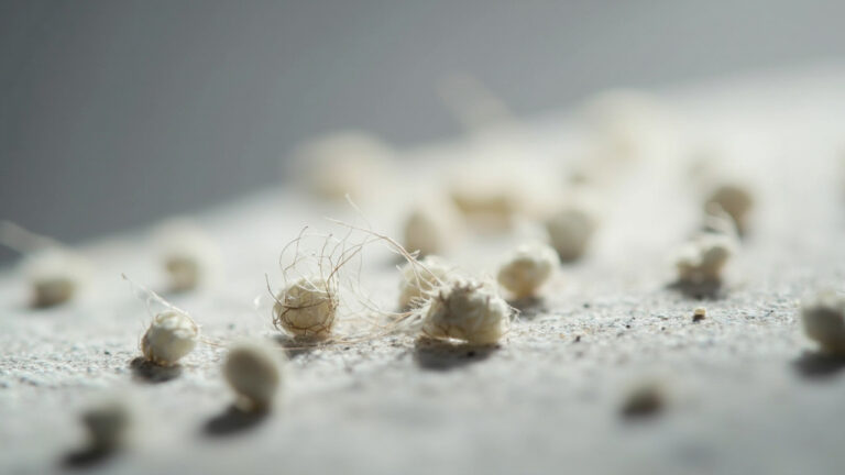 "Macro photograph showing fabric pilling on worn clothing with visible fibrous pills and loose fibers"