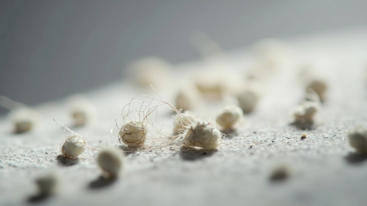 "Macro photograph showing fabric pilling on worn clothing with visible fibrous pills and loose fibers"